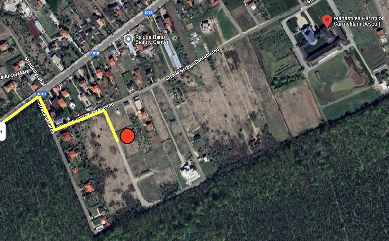 Ciofliceni, Snagov,