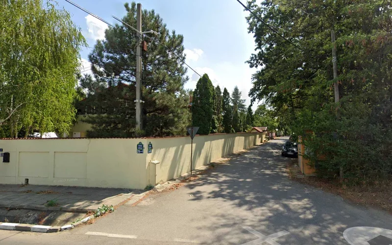 Ciofliceni, Snagov,